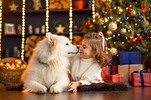 White long haired dog with young girl, Christmas tree, presents and decorations are in the background.