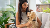 A woman sits on a sofa with a calm dog