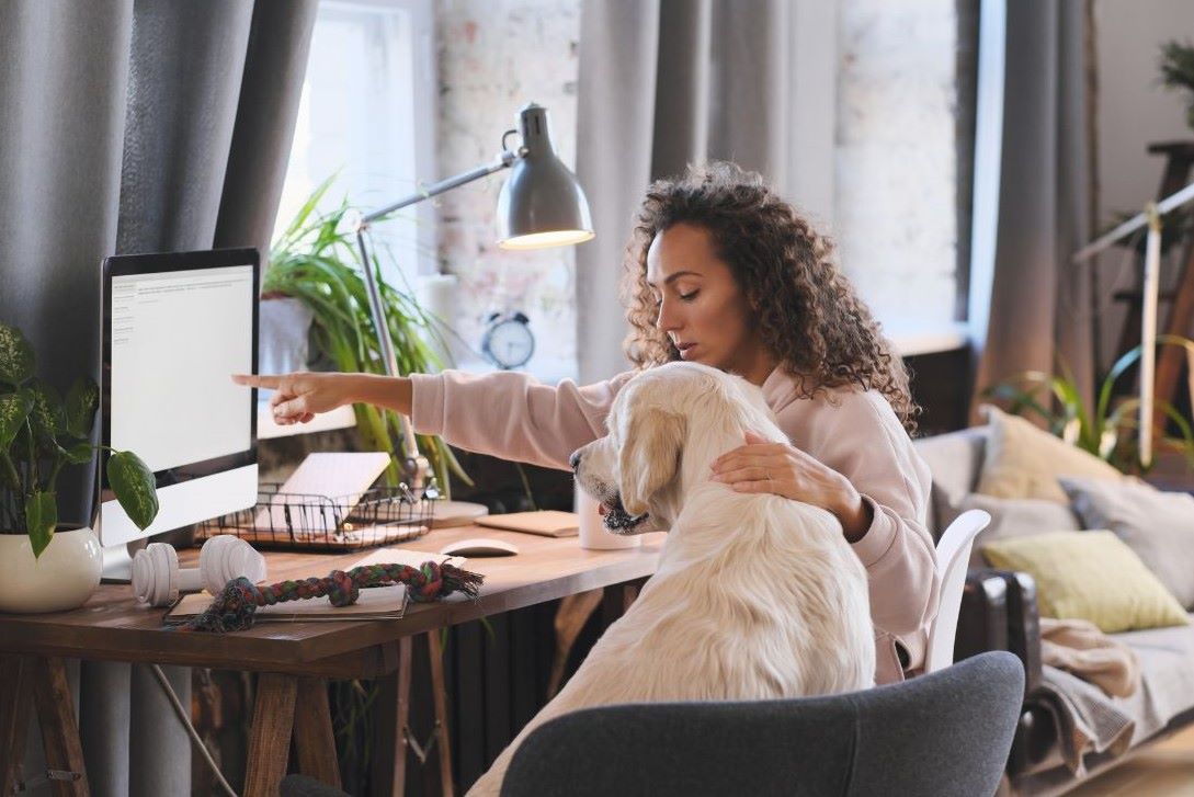 home setting, a woman with curly hair, sits by a desk on a chair. A Labrador dog sits on a chair beside her, the woman is pointing to a computer screen. There are plants, paper work, a file tray, headphones and a dog rope toy on the desk.