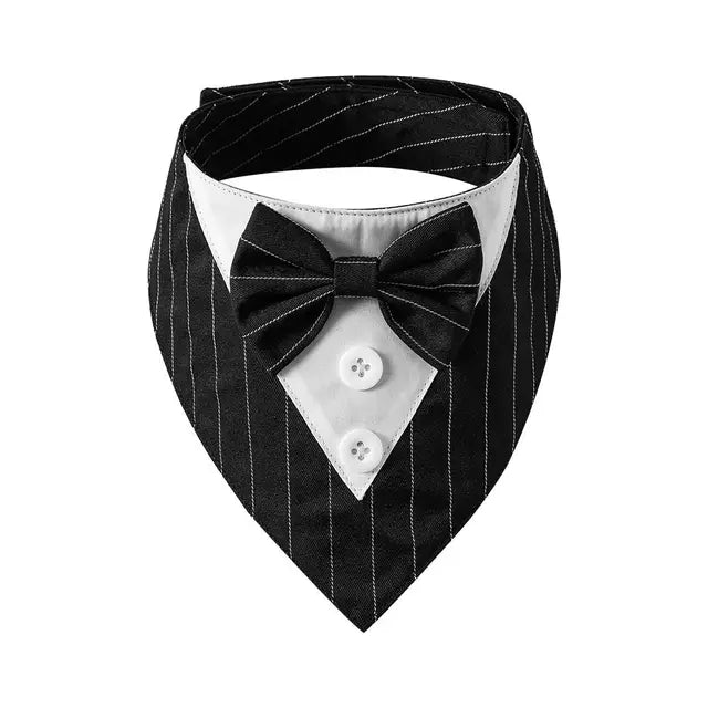 black striped tuxedo bow tie on a white background