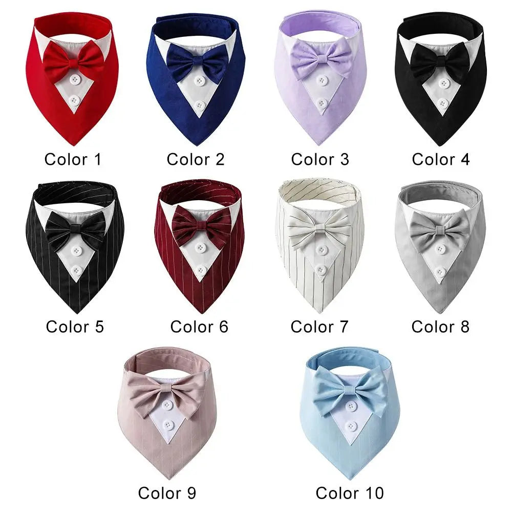 white background with the ten colour varieties shown