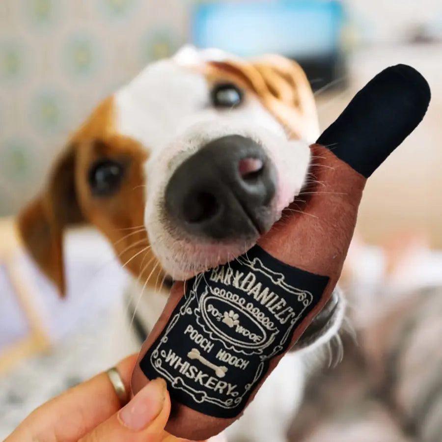 brown and white dog with a whiskey bottle toy in it's mouth.