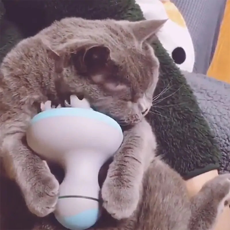 Grey shorthair cat rubs his face against the Serene Paws Electric Massager in a home setting.