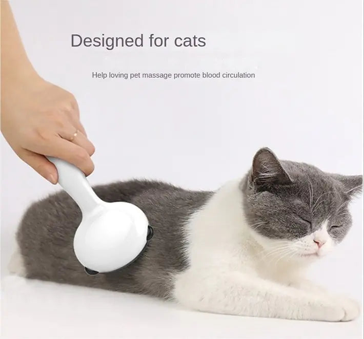 human brushing a grey and white cat with the Slicker brush, white background