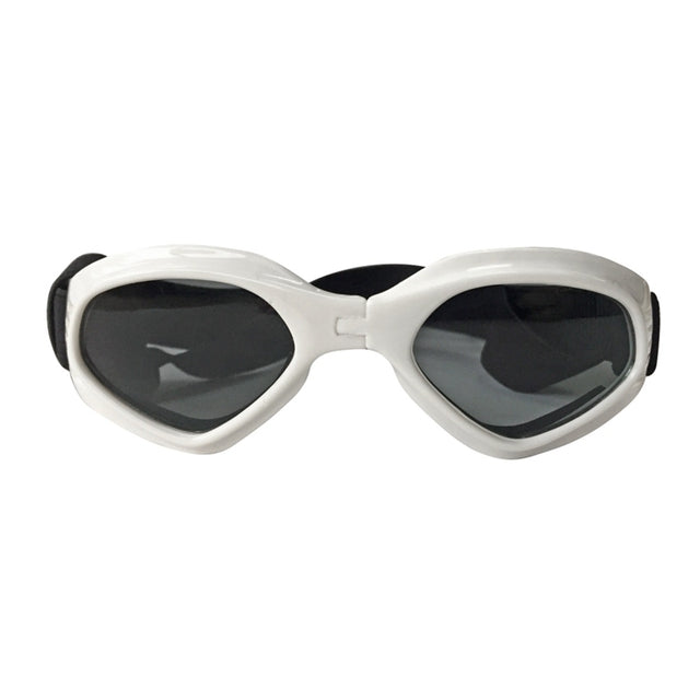 white rimmed sunglasses, front view on white background.