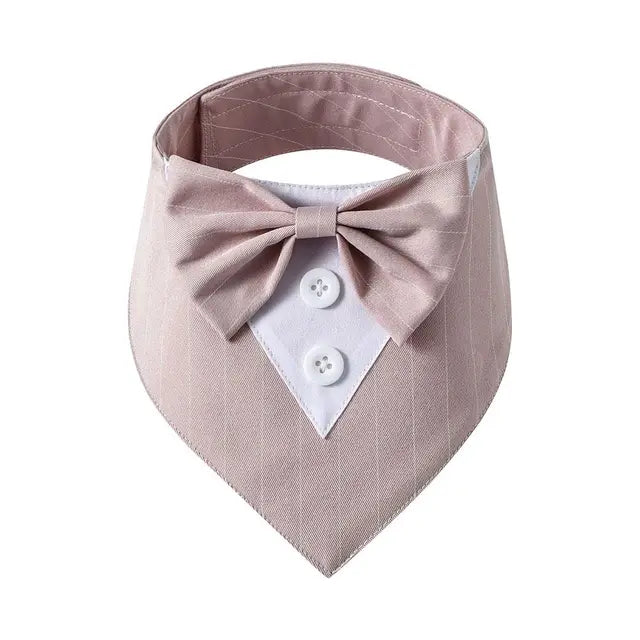 beige tuxedo bow tie on a white background