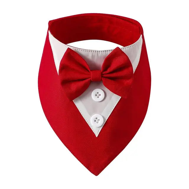 red and white tuxedo bow tie on a white background