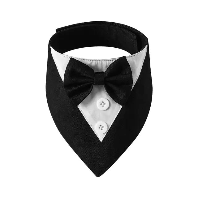 black and white tuxedo bow tie on a white background