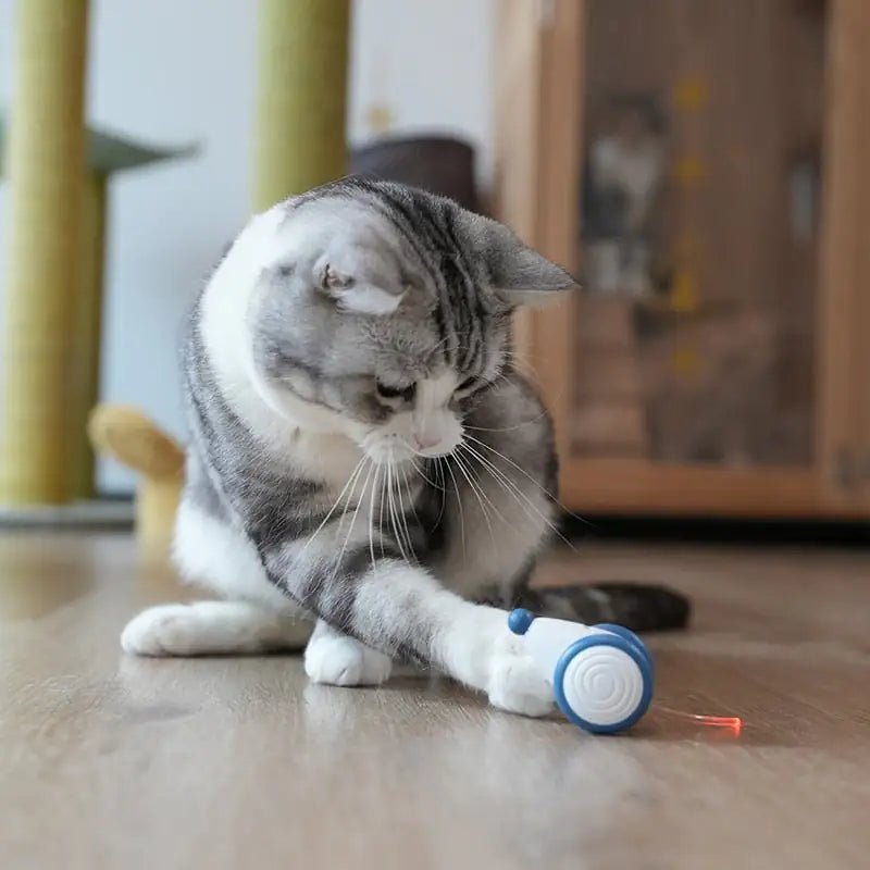 A grey and white tabby cat plays with the Interactive Wicked Mouse Cat Toy in a home setting.