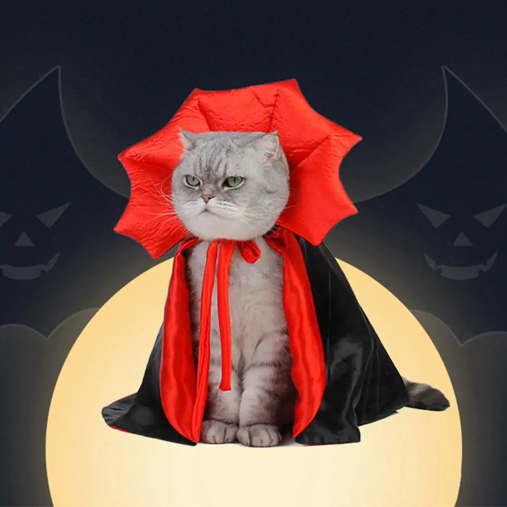 silver tabby cat dressed in a black and red vampire cloak costume, spooky dark background.