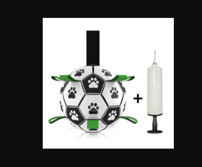 white background, image shows the toy with a inflating pump next to it.