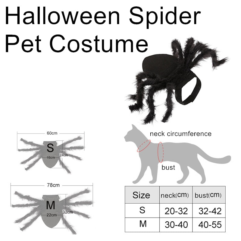 white background, size chart showing a cat image with neck and bust circumference circled. there is a photo image of the black spider costume front/side view. two images showing size difference are in the bottom left of the main image.