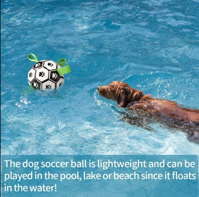 Lifestyle shot of a retriever dog fetching the interactive toy from a swimming pool. Text reads the dog soccer ball is lightweight and can be played in the pool, lake or beach since it floats in the water.