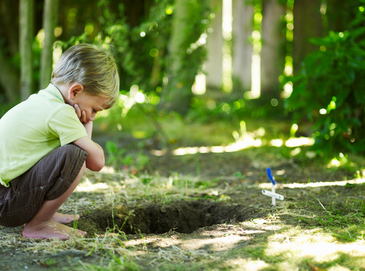 Wings and Whiskers - Navigating Heartache with Young Hearts