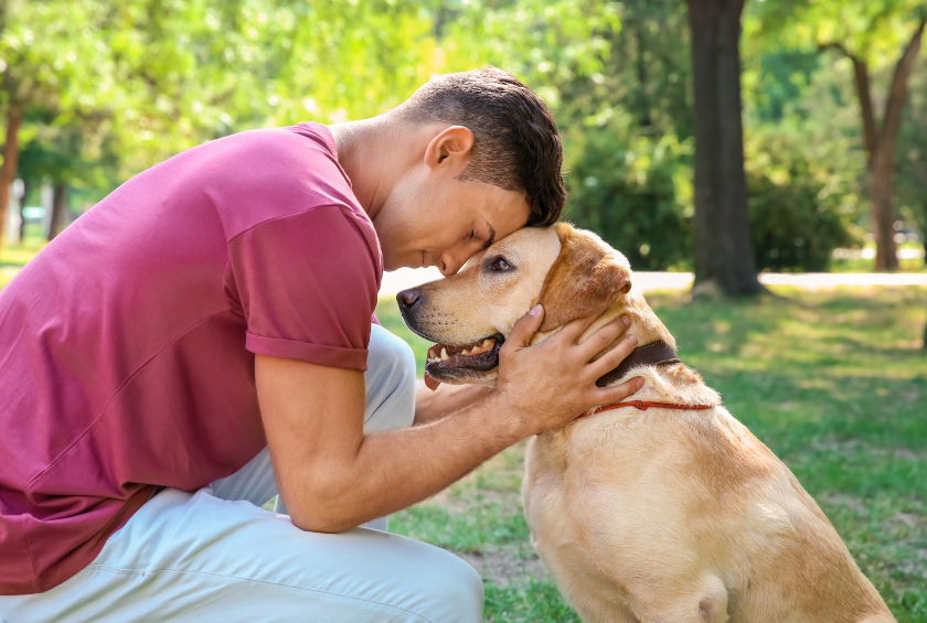 Furry and Feathered Heroes - The Surprising Role of Pets in Mental Health