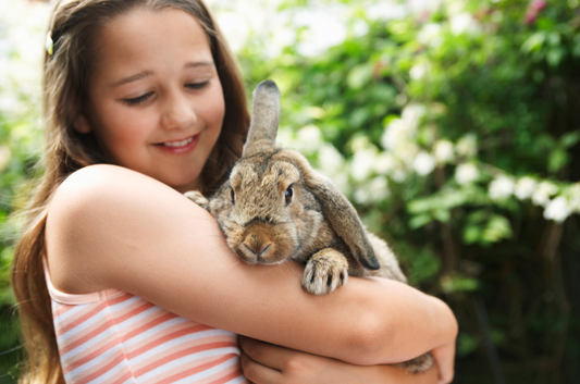 A young girl with long brown hair, holds a floppy eared rabbit in her arms, in an outdoor setting. 
