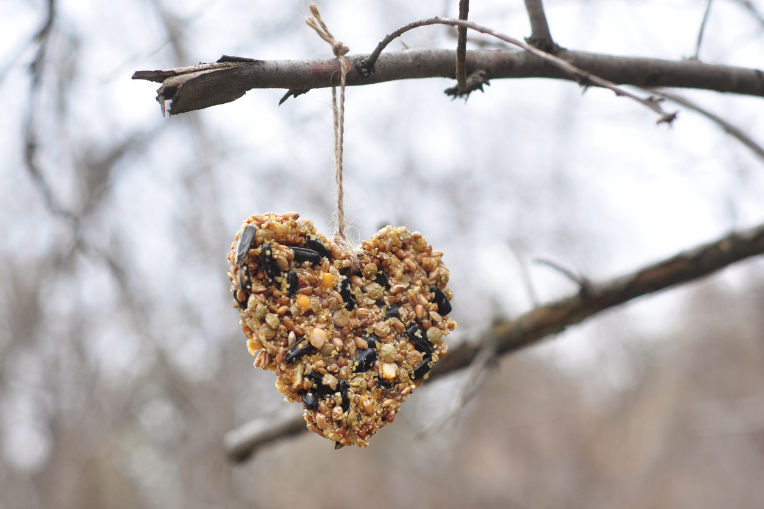 Heart shaped seed treat hanging on a branch