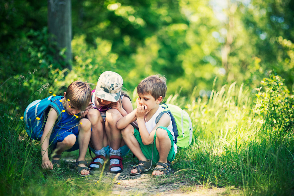 Three young children exploring nature
