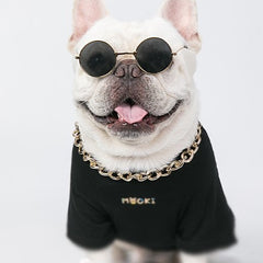 White French Bulldog wears sunglasses, a gold chain and a black shirt, white background. 