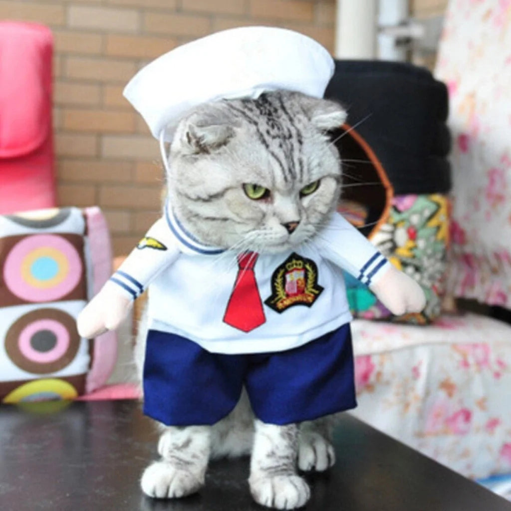 cat wearing a sailor costume in a home setting