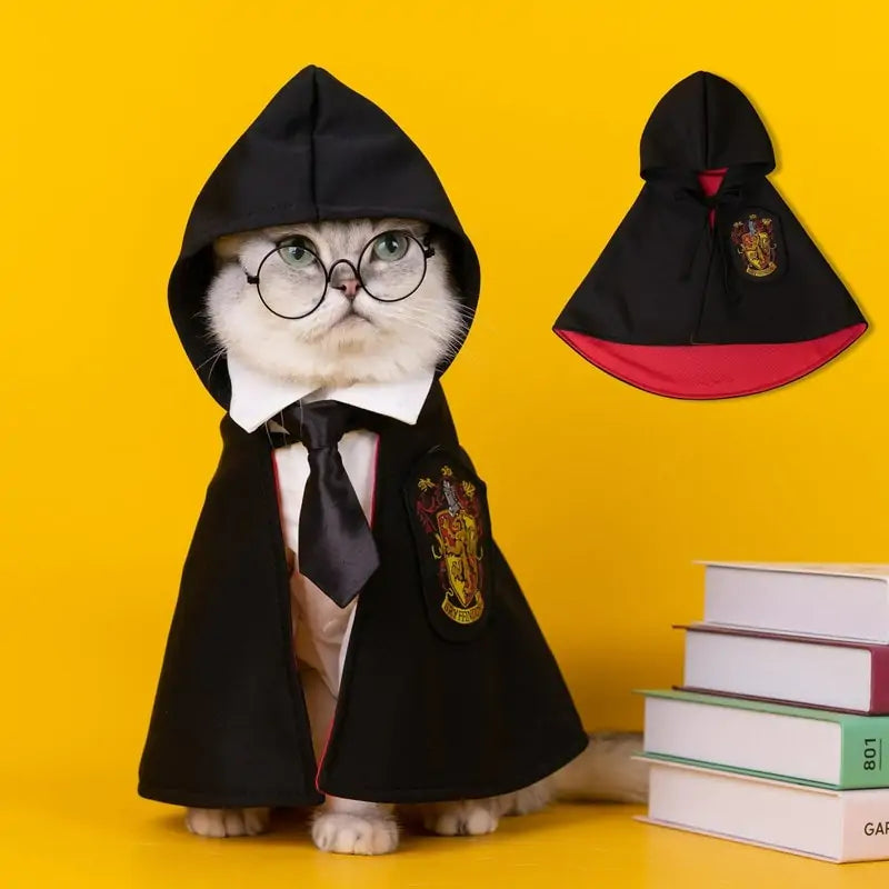 fluffy white grey cat wears Wizard Cosplay Cape, glasses and tie, sitting next to a stack of books on a yellow backdrop. A Red Wizard cape hangs in the background. 