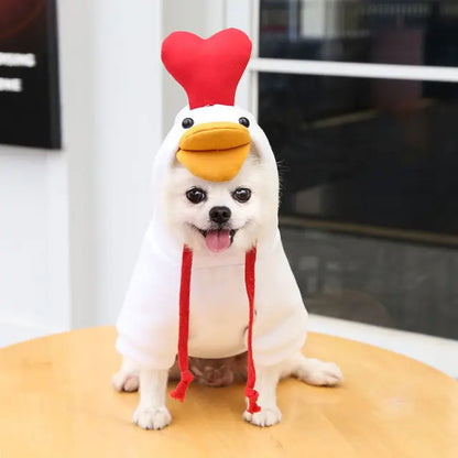 small white dog sits on a wooden surface in a home setting, wearing a white duck hoodie