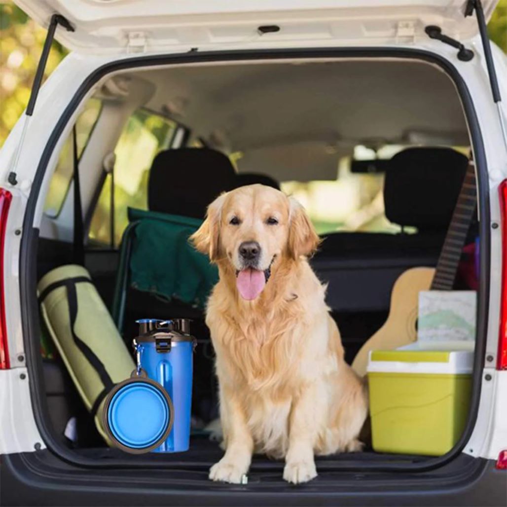 A Golden Retriever dog sits in the back of a vehicle, with a Blue 2-in-1 Pet Hydration and Snack Station. 