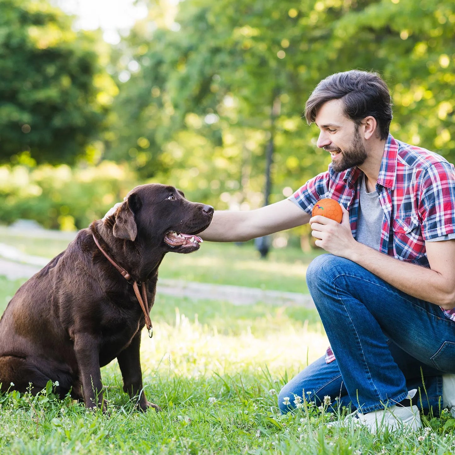 Man plays with a Chocolate Labrador in an outdoor setting, playing with an Orange SmartPlay Rolling Pet Ball. 