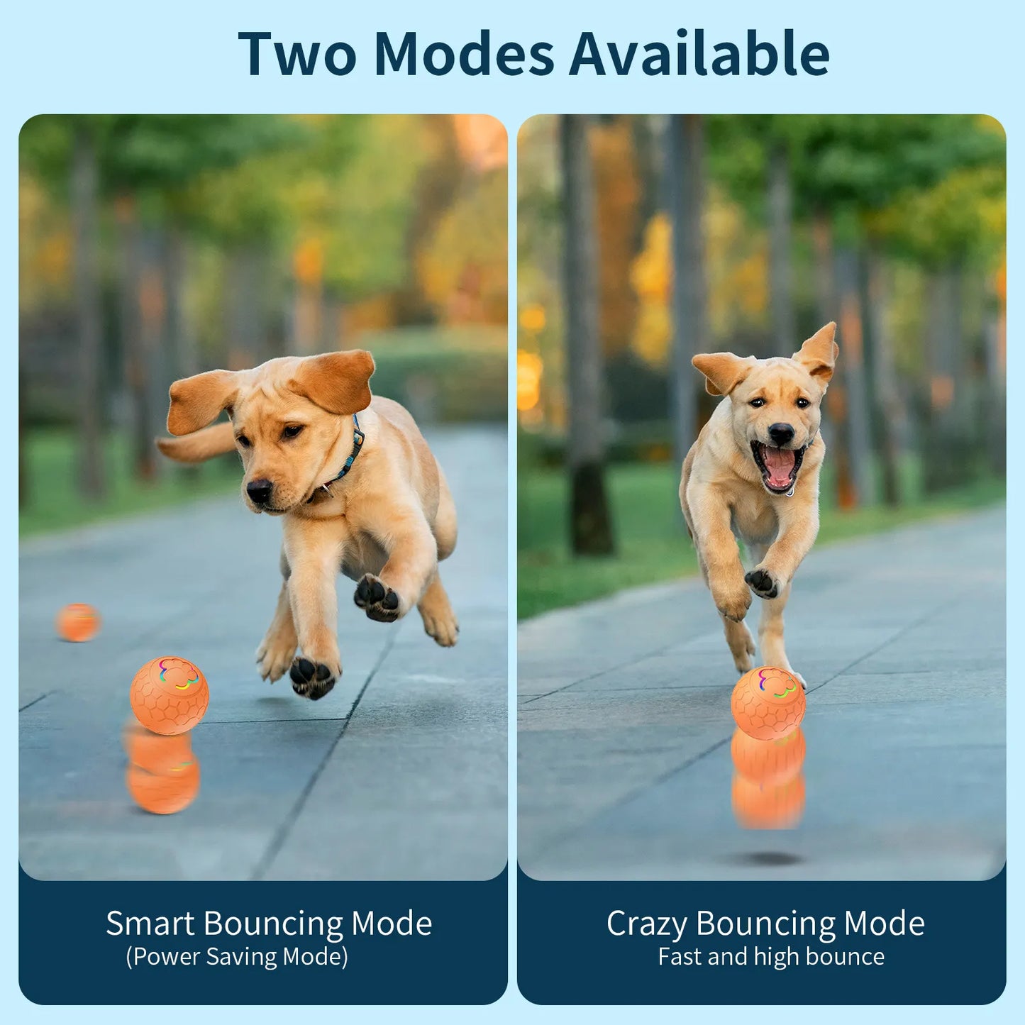 two images showing a dog chasing the SmartPlay Rolling Pet Ball in an outdoor setting. The image shows smart bouncing mode and crazy bouncing modes. 