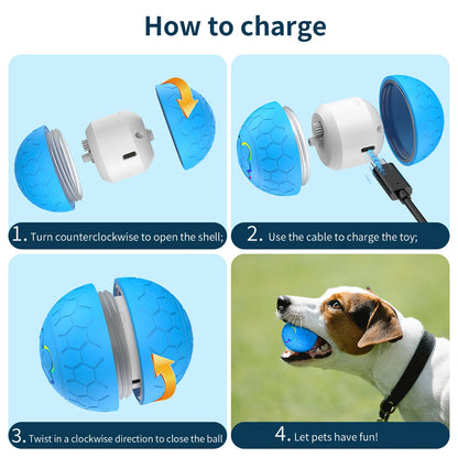 SmartPlay Rolling Pet Ball