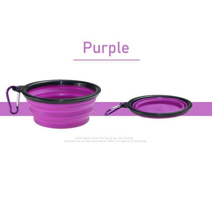 Two images of a Purple collapsible bowl in upright and folded positions, white background. 