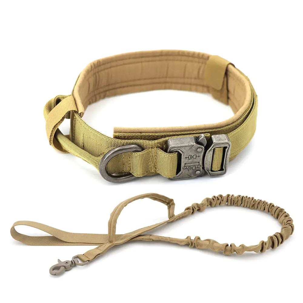 Stylish and Secure Dog Collar