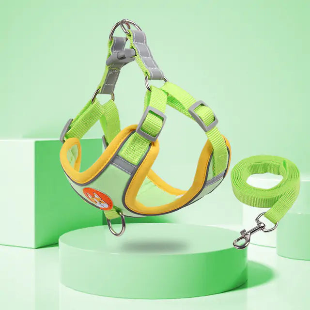 green harness on light green display background