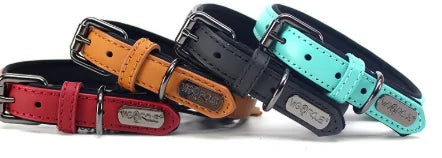 four different colored collars