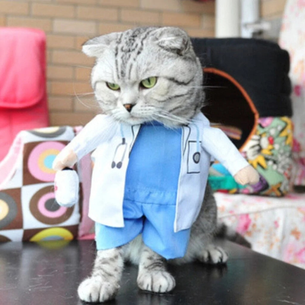 cat wearing a doctor costume in a home setting