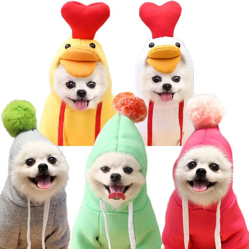 The same white dog wears five different hoodies in the one image, white background. 