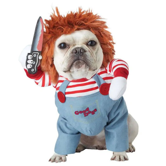 French Bulldog wears Eerie Doll Dog Costume, white background 