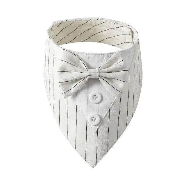 white striped tuxedo bow tie on a white background 