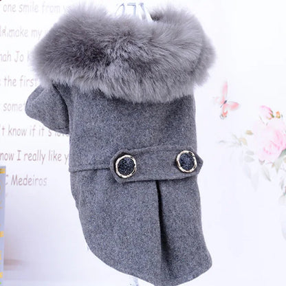 grey fur collared pet jacket on a white background 