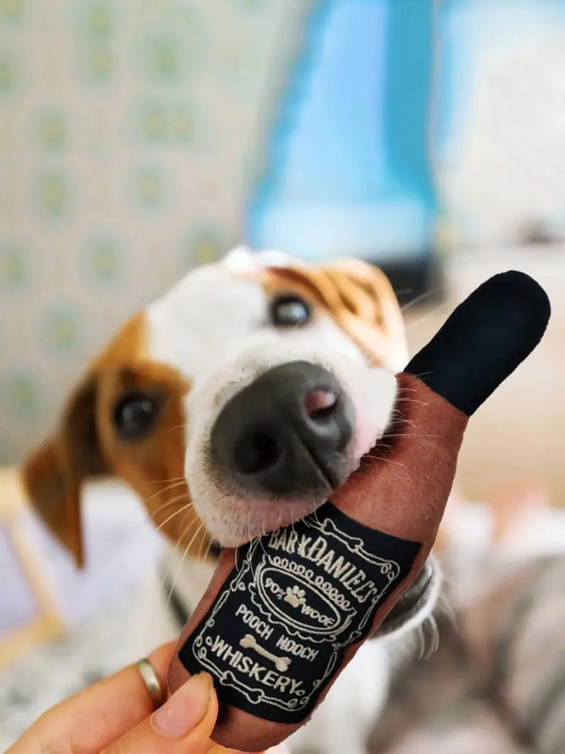 dog with whiskey bottle toy in its mouth 