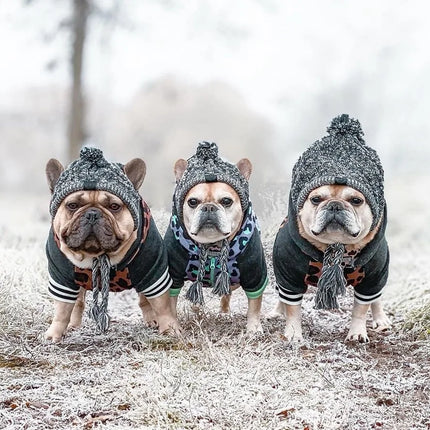 Outdoor winter scene, three beige pug dogs, stand on snow covered grass, blurred trees and white wintery sky in the background. the three dogs stand side by side, each wearing jackets and grey wool hats. 