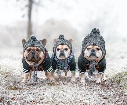 Outdoor winter scene, three beige pug dogs, stand on snow covered grass, blurred trees and white wintery sky in the background. the three dogs stand side by side, each wearing jackets and grey wool hats. 