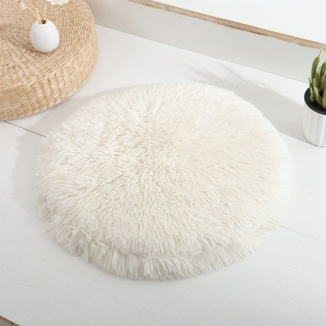 white colored pet bed in home setting. 