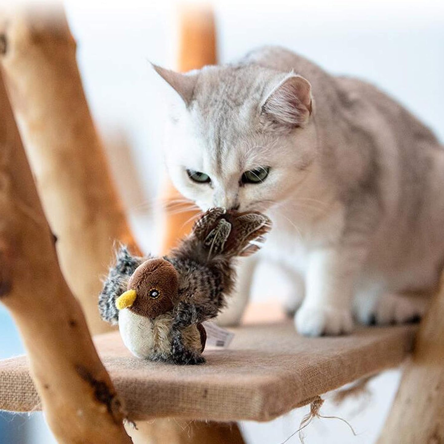 A cat interacts with the Cheepy Chirp Interactive Cat Toy on a cat tree in a home setting 