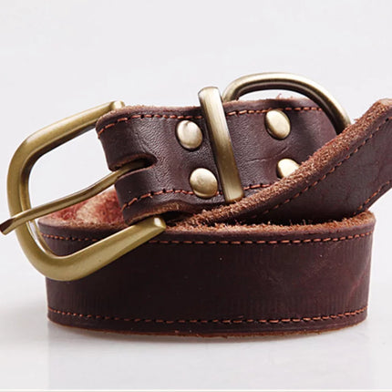 brown leather collar curled, showing the buckle on a white background
