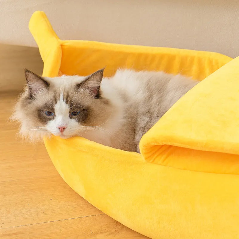 close up image of a fluffy cat inside the banana shaped pet bed in a home setting