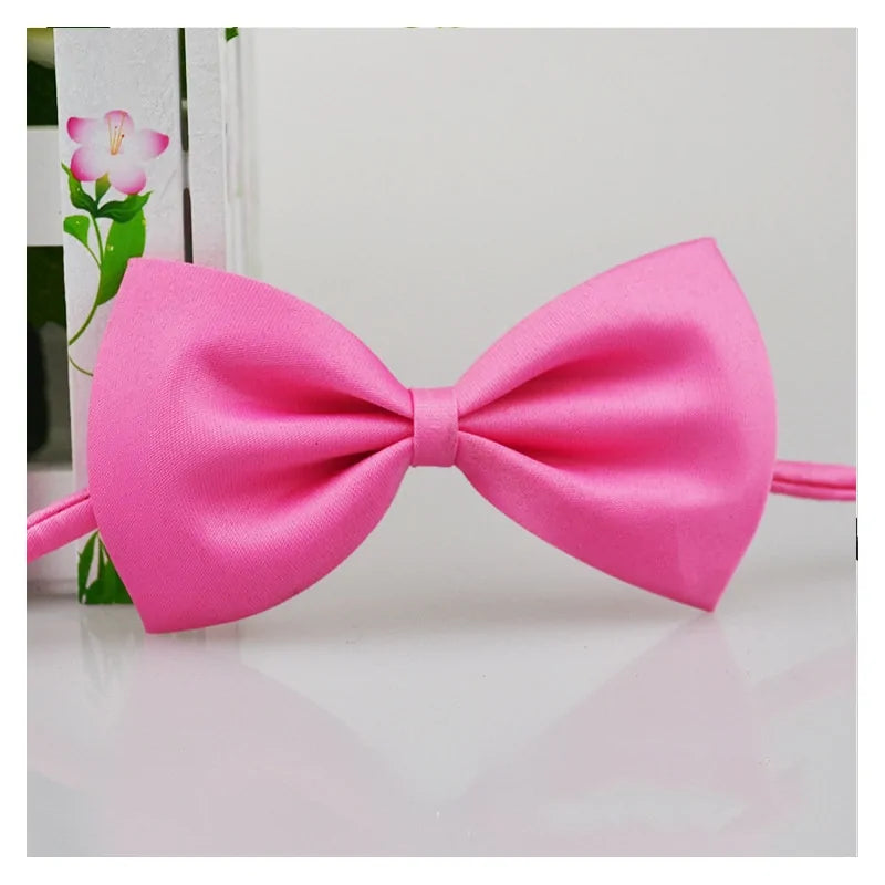 pink bow tie on a white background 