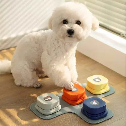 cute white dog touches a red Speak & Play Dog Communicator button with it's paw, in a home setting. 