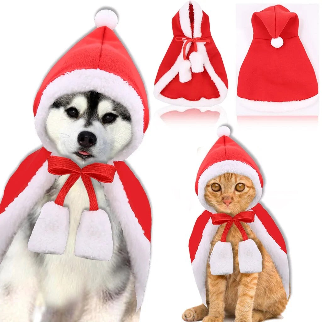 cat and dog wear Santa costume cape and hood, white background 