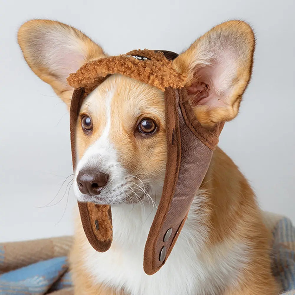 Corgi dog wearing a brown winter dog hat. 